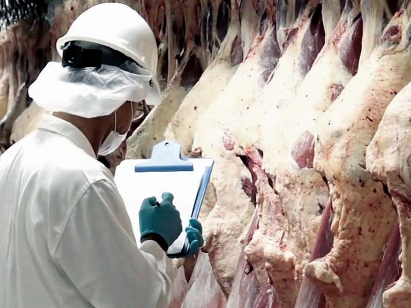 Flexibilizaron las exportaciones a la carne tras el revés electoral