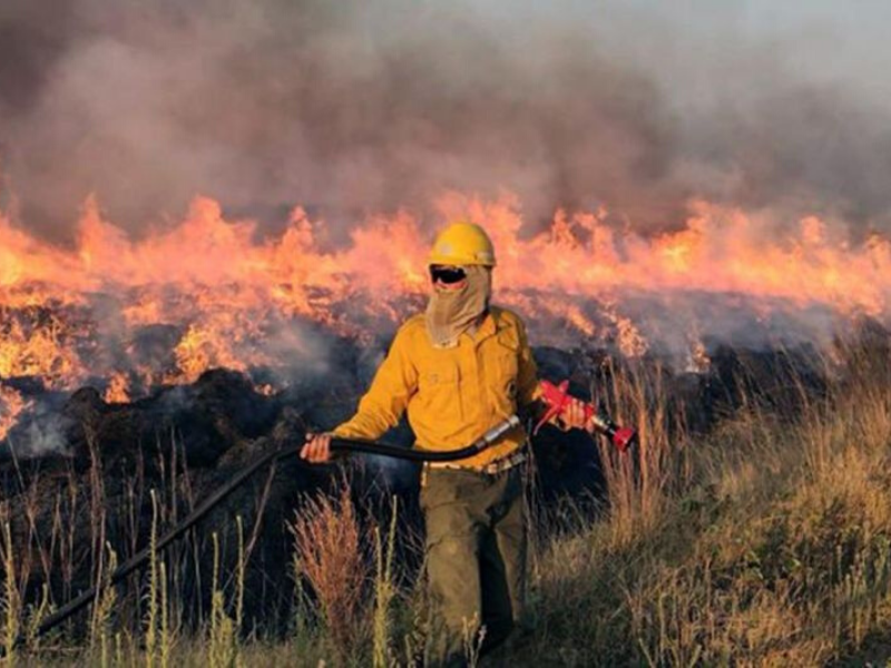 Incendios en Corrientes: la foto que conmovió al país y cómo sigue la situación