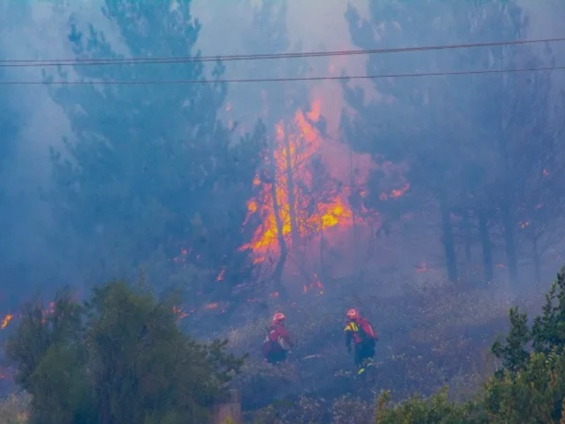 Incendios en Mendoza