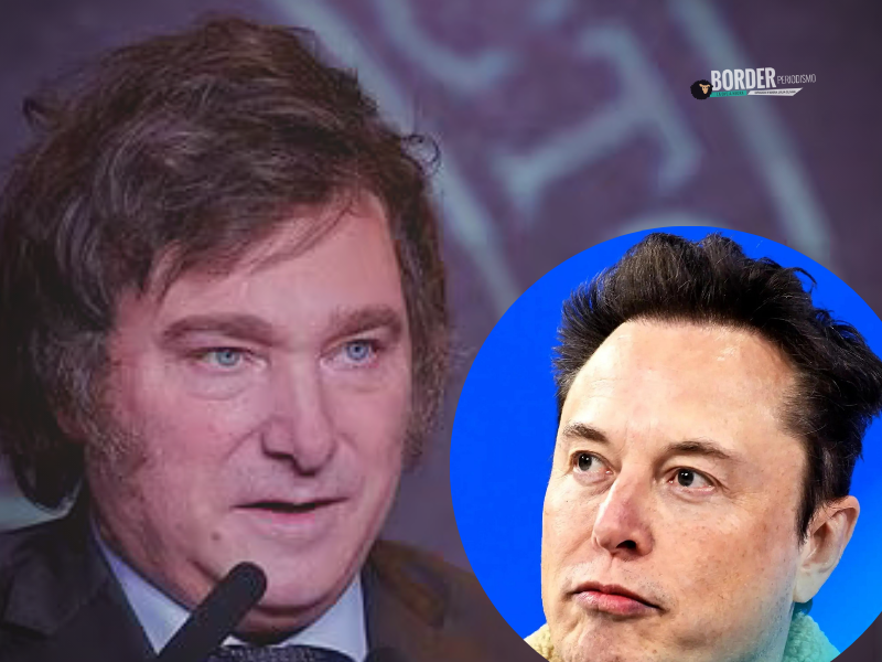 Milei elon musk